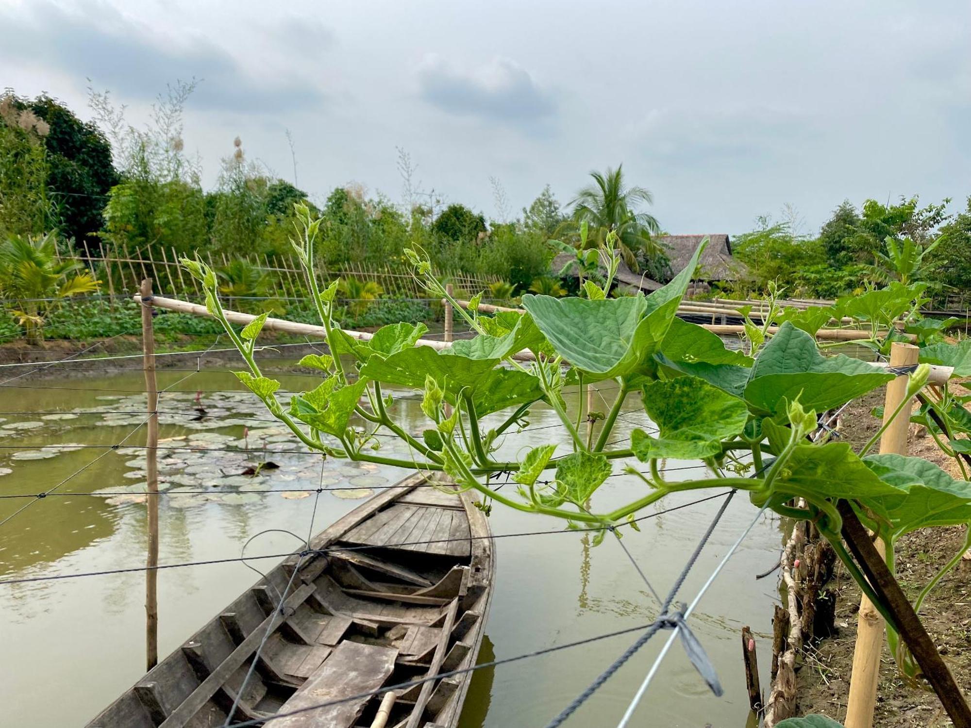 Mekong Silt Ecolodge Can Tho Bagian luar foto