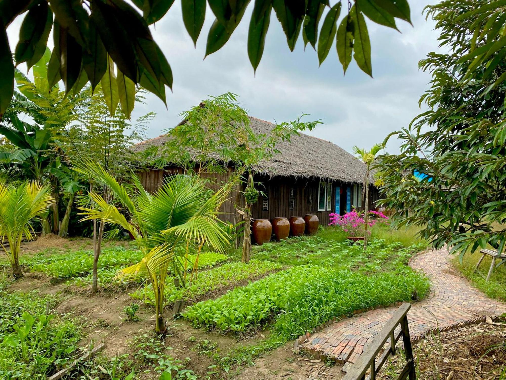 Mekong Silt Ecolodge Can Tho Bagian luar foto